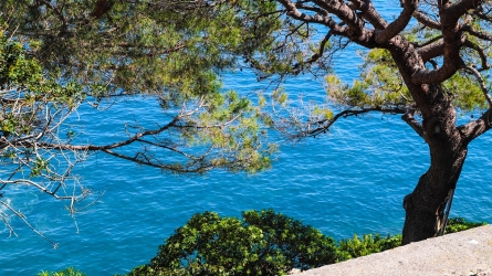 Discovering Mareterra: A Guided Exploration of Monaco’s Sustainable Masterpiece