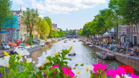 Top Restaurants and Bars to Visit in Amsterdam