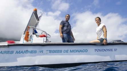  Monaco’s Larvotto Marine Reserve: A Beacon of Biodiversity and Conservation