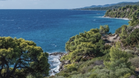 At the Crossroads: Plan Bleu’s Wake-Up Call for the Mediterranean