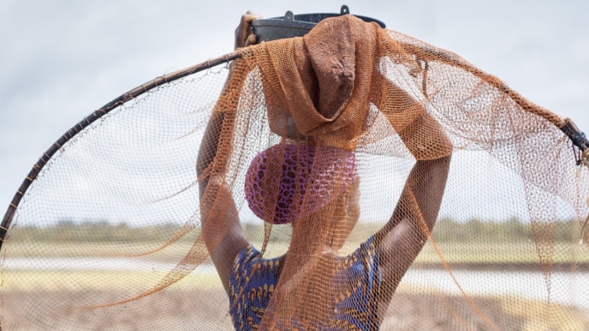In Guinea-Bissau, Women Lead Transition to Climate-Resilient Farming