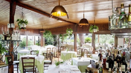 Da Tonino: Where Family Tradition Meets Modern Gastronomy