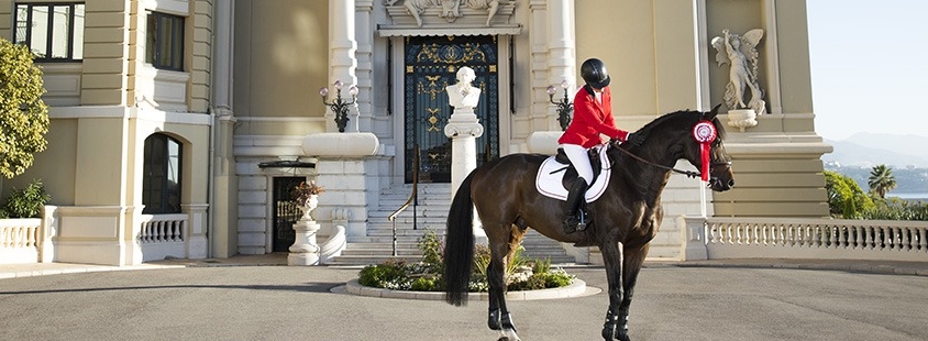 Международные соревнования по конкуру состоятся с 30 июня по 2 июля в Монте-Карло