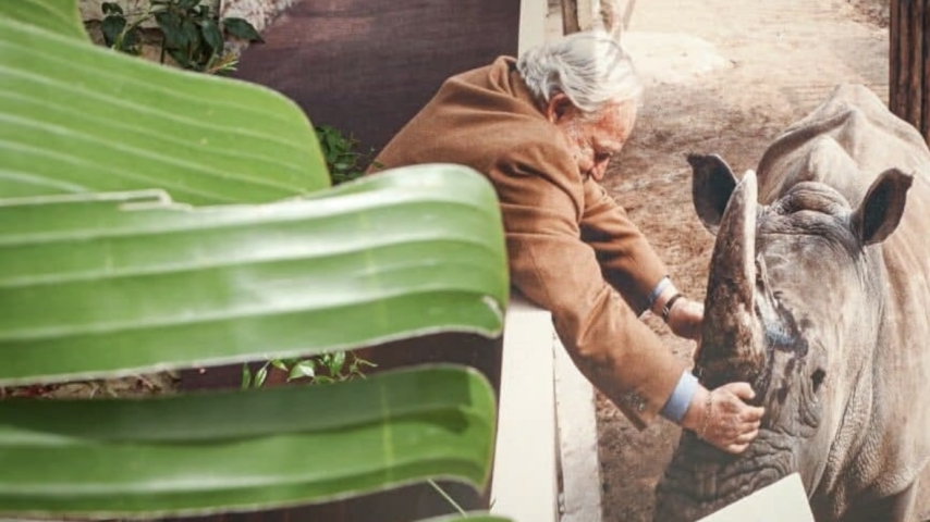 Monaco’s Jardin Animalier Advances White Rhinoceros Conservation