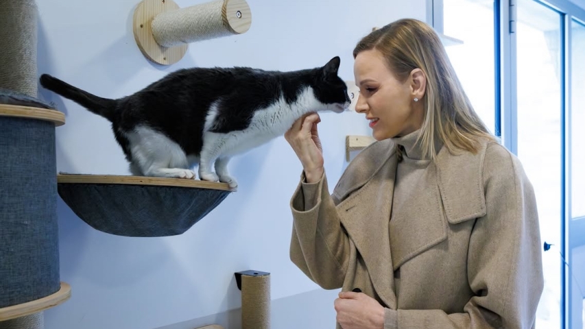 Princess Charlene of Monaco Visits Animal Shelter, Highlights Ongoing Improvements