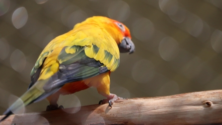 Monaco’s Rainier III Zoological Garden to Stay Closed Throughout 2026