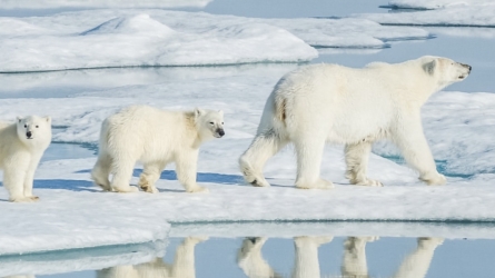 Monaco to Host Polar Symposium Aimed at Bridging Science and Action in a Warming World