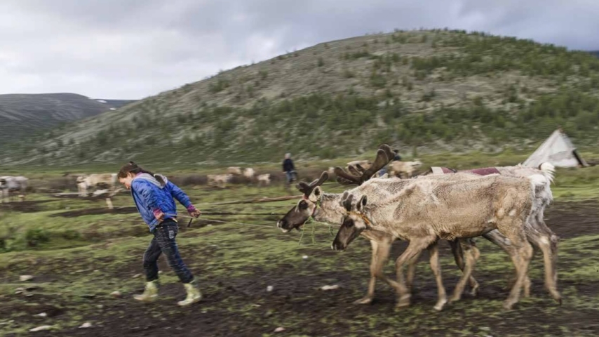 The Arctic and Antarctic at a Turning Point: Adaptation in the World’s Polar Regions