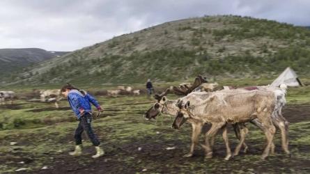 The Arctic and Antarctic at a Turning Point: Adaptation in the World’s Polar Regions