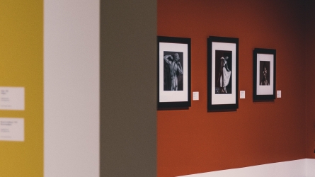 Art Monte-Carlo Celebrates 10 Years with an Expanded International Programme