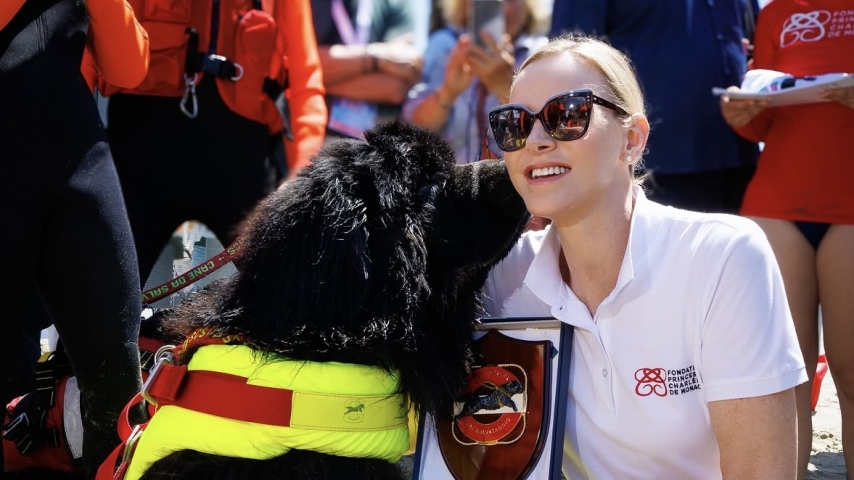 Aquatic First Aid and Rescue Take Center Stage in Viareggio