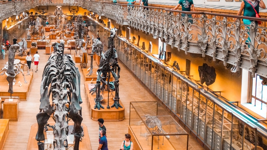 Behind the Lens of Time: Monaco’s Prehistoric Museum Reveals the Art of Archaeology