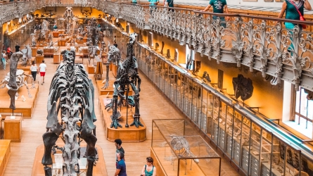 Behind the Lens of Time: Monaco’s Prehistoric Museum Reveals the Art of Archaeology