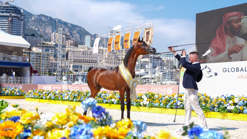 Arabian Elegance Takes Monaco: Inside the Spectacular Debut of the Global Champions Arabians Tour