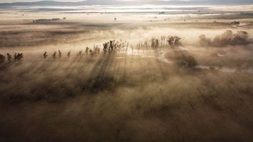 Responding to Wildfires: Monaco’s Foundation Commits Funding for European Ecosystem Restoration