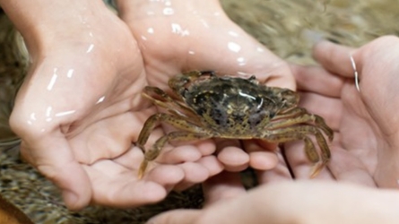 Between Land and Sea: How Monaco’s Oceanographic Museum Teaches Coastal Conservation