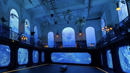 Art at Sea: Explorer-Painter Louis Tinayre