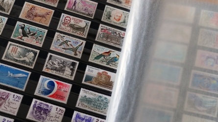 Young Explorers Take Over Monaco’s Stamp and Coin Museum