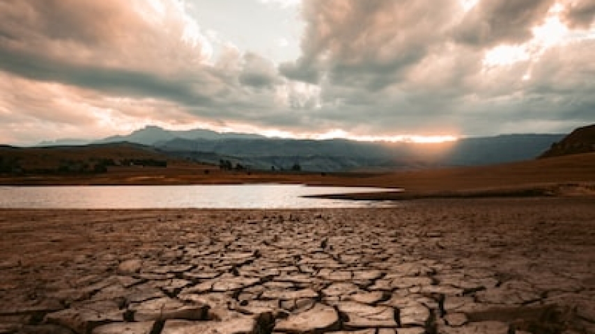 Drought Plan: Initial Positive Effects of