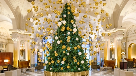 Monaco's Annual Christmas Tree Auction Raises Over 100k for Child Protection Online
