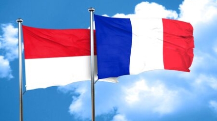 Legislative Elections: French Citizens in Monaco Can Vote at the French Embassy or Online