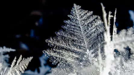 Cold Snap Hits France, Southern Alps Brace for Heavy Snow and High Winds